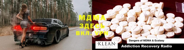 прущие грибы Иннополис