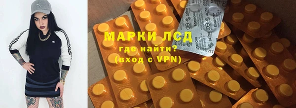 шишки Армянск