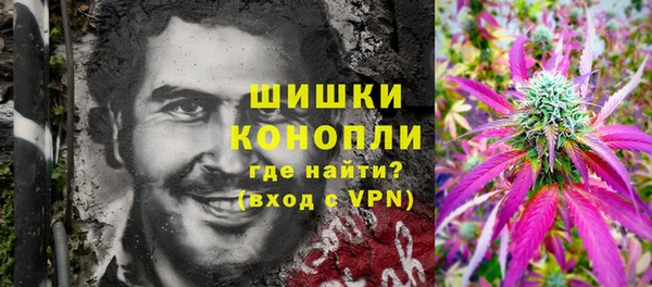 шишки Армянск