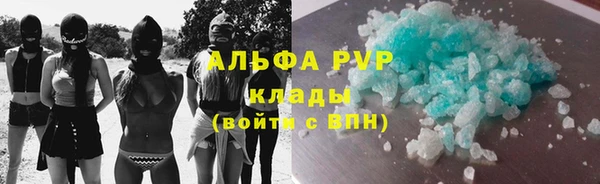 индика Инсар