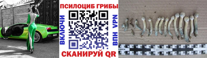 Псилоцибиновые грибы MAGIC MUSHROOMS  МЕГА зеркало  Сафоново 