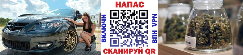 кракен вход  купить наркоту  Сафоново  Каннабис сатива 